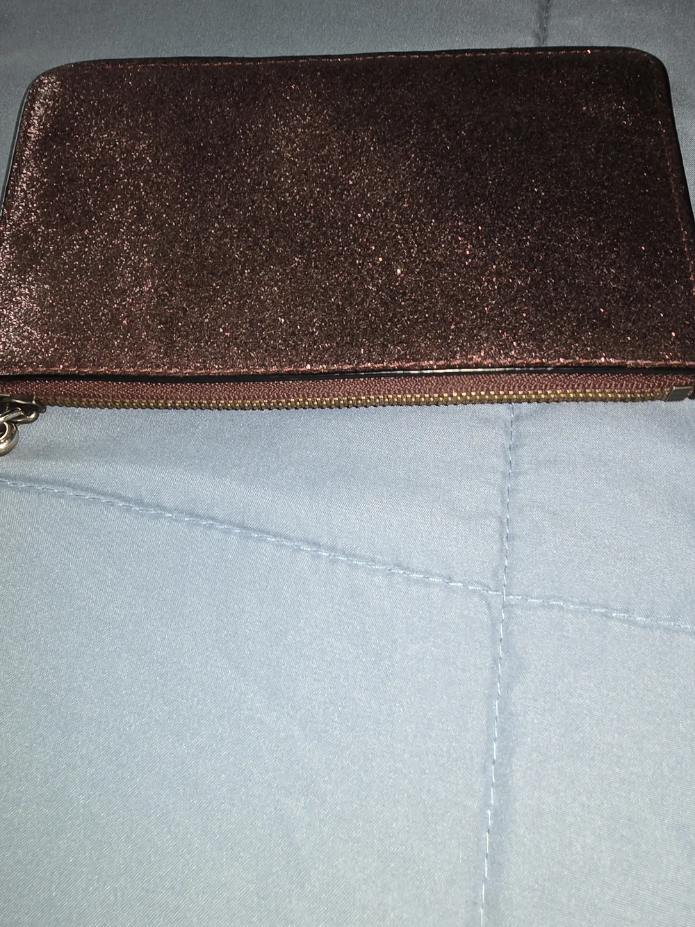 Coach Rose Gold Glitter Wristlet Pouch